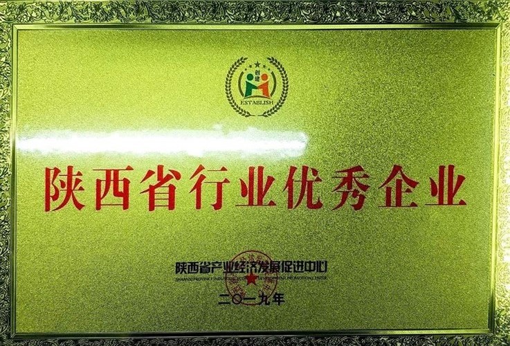 陜西省行業(yè)優(yōu)秀企業(yè)