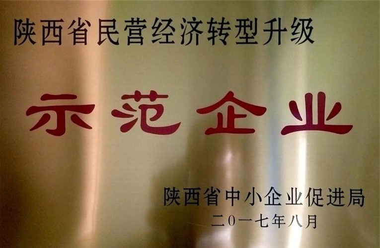 陜西省民營(yíng)經(jīng)濟(jì)轉(zhuǎn)型升級(jí)示范企業(yè)